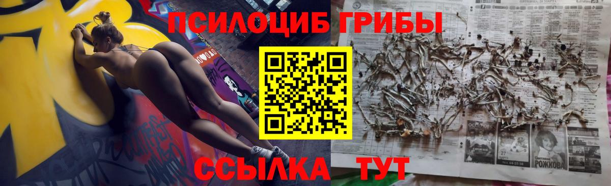 Чебаркуль  цены наркотик  Вход с VPN  Псилоцибиновые грибы Psilocybe 